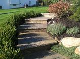 Decorative Concrete Steps