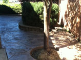 Stamped Concrete Path